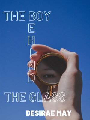 cover image of The Boy Behind the Glass